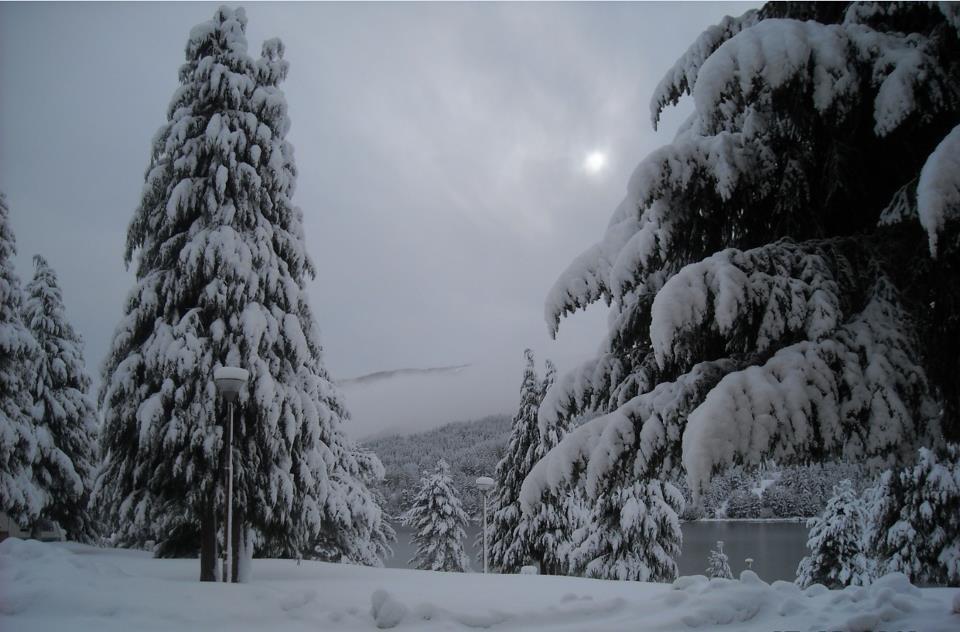 Le Stagioni Bed and Breakfast Spezzano della Sila Esterno foto